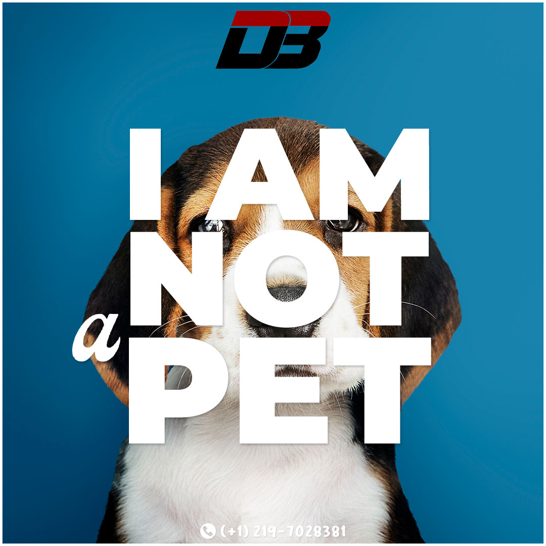 D3 — I Am Not a Pet post