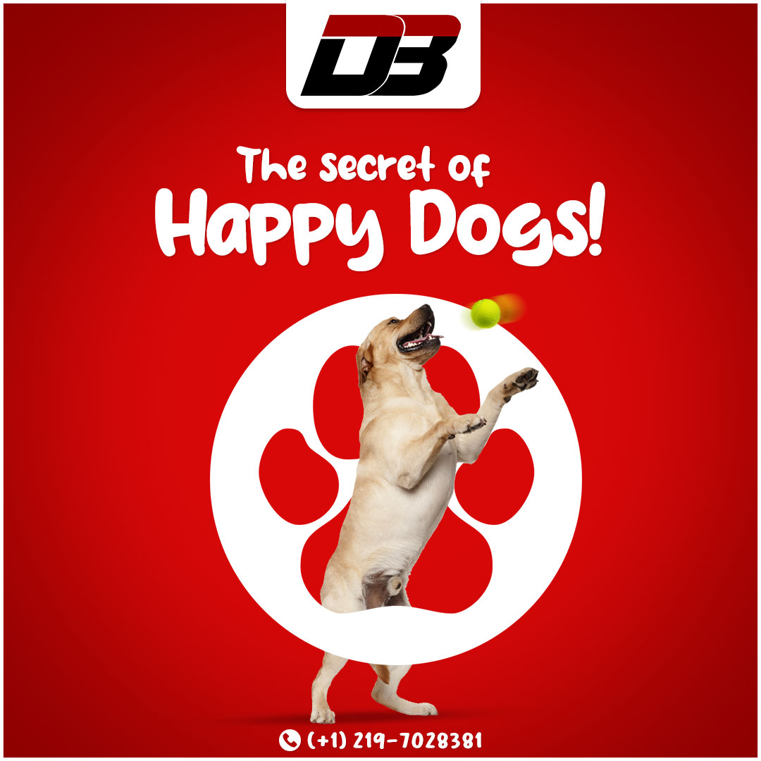 D3 — The Secret of Happy Dogs! post