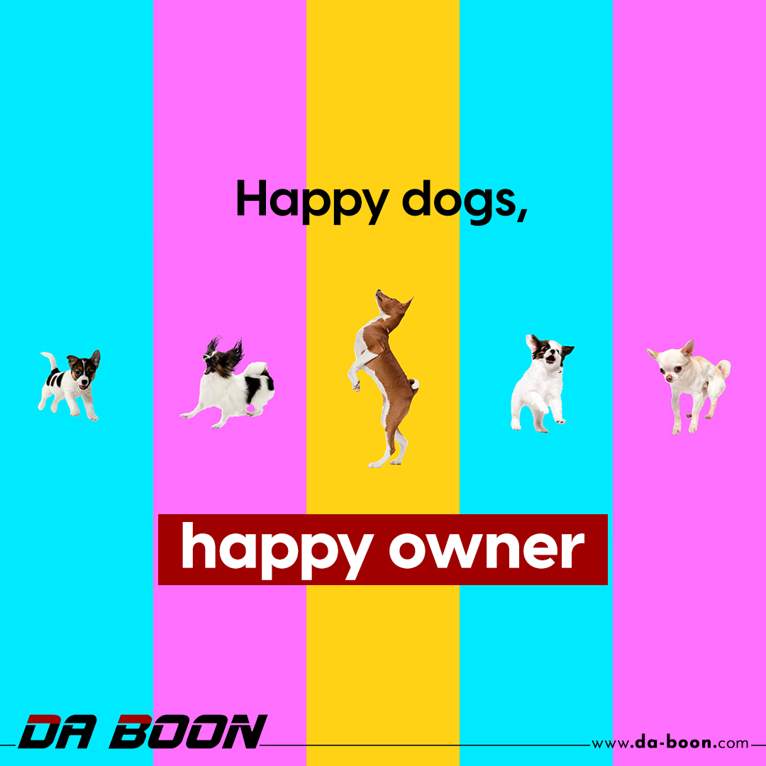 Da Boon — Happy Dogs, Happy Owner post