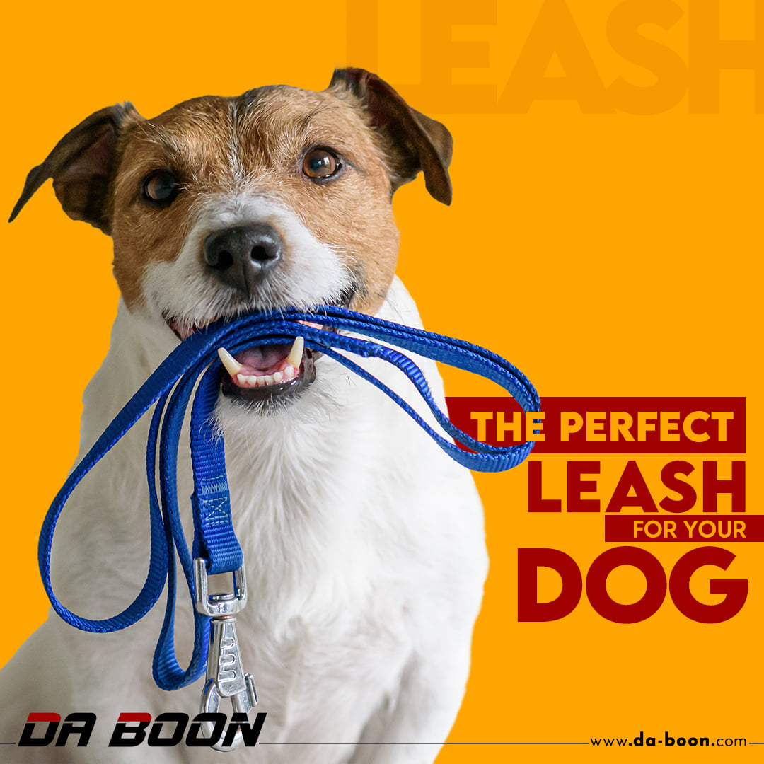Da Boon — The Perfect Leash for Your Dog post